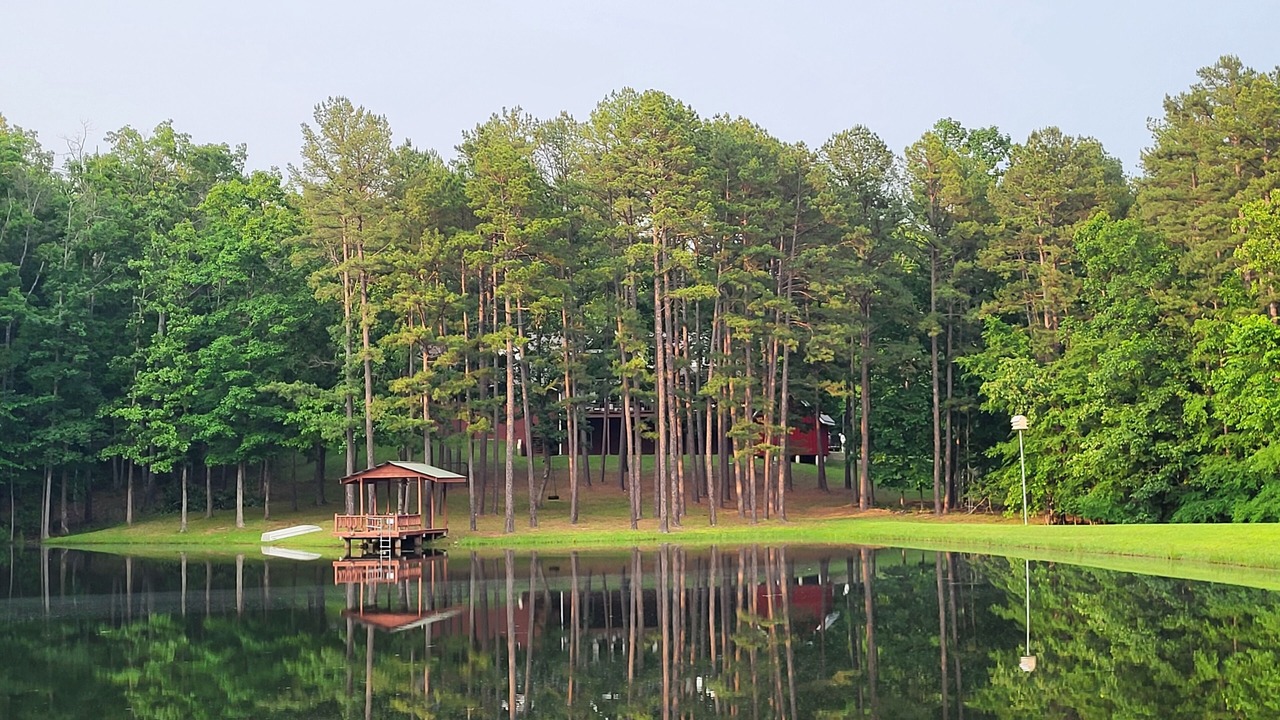 Photo of Others in Piedmont