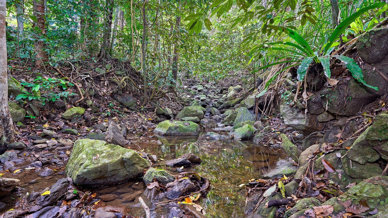 Photo of Others in Cairns