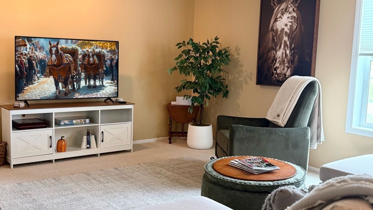 Photo of Livingroom in Redmond