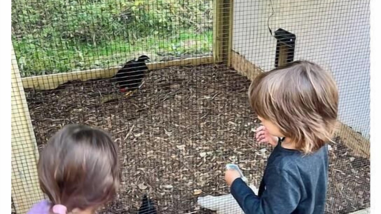 Photo of Outdoor in Glenwood