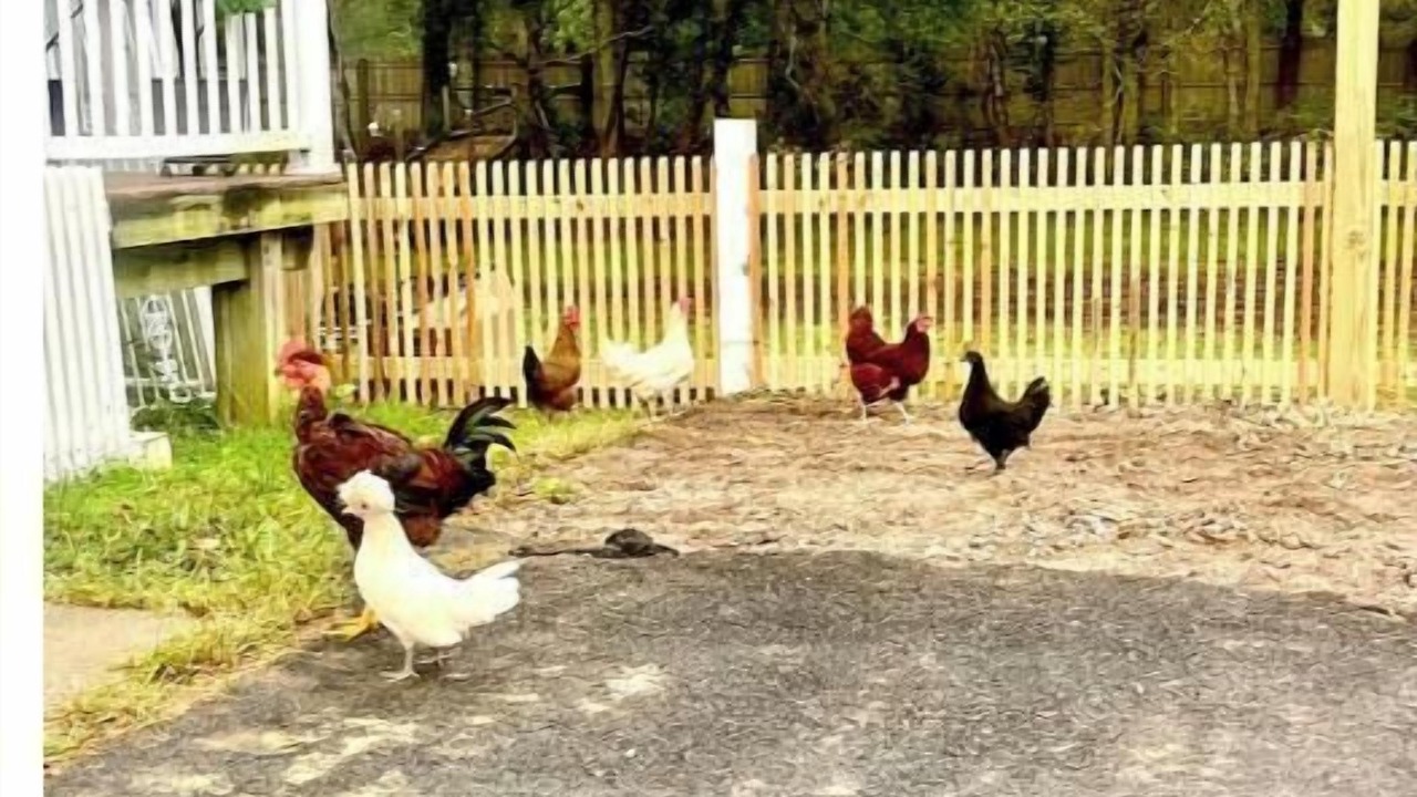 Photo of Others in Glenwood