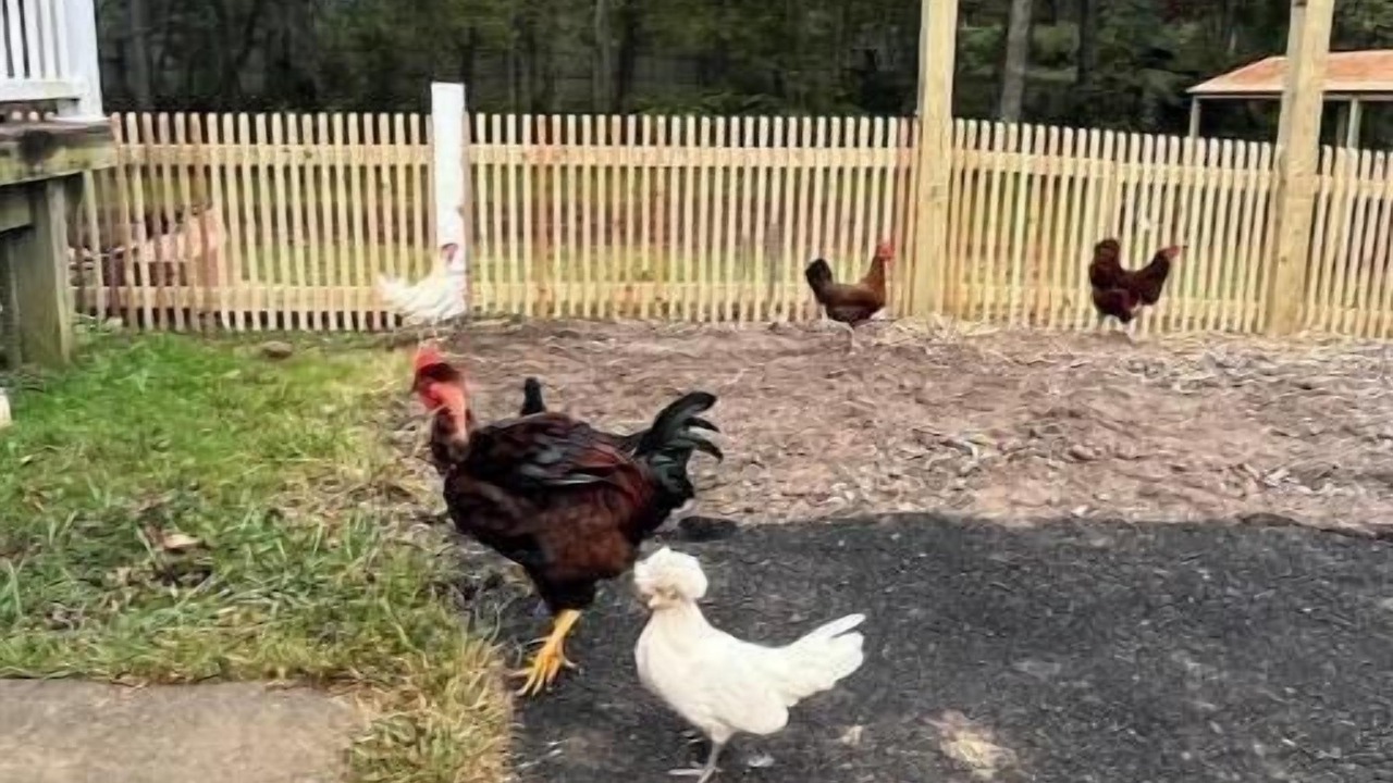 Photo of Others in Glenwood