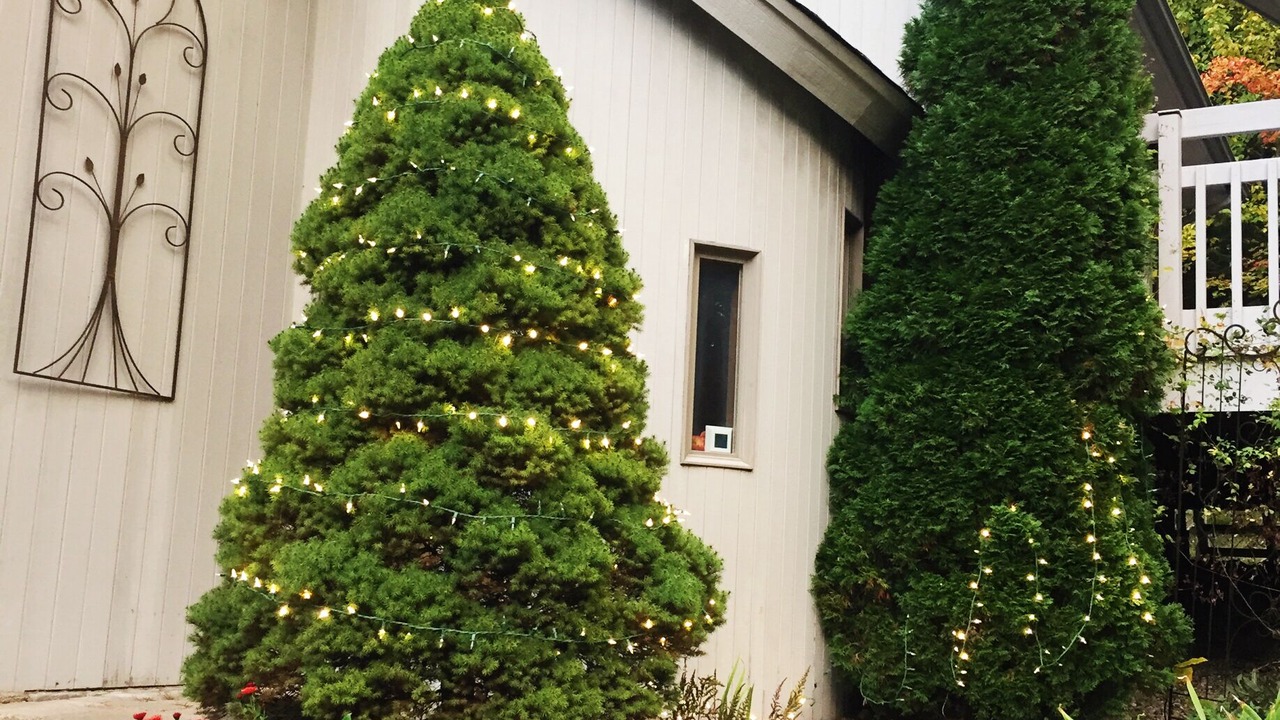 Photo of Outdoor in Northwest Harwinton