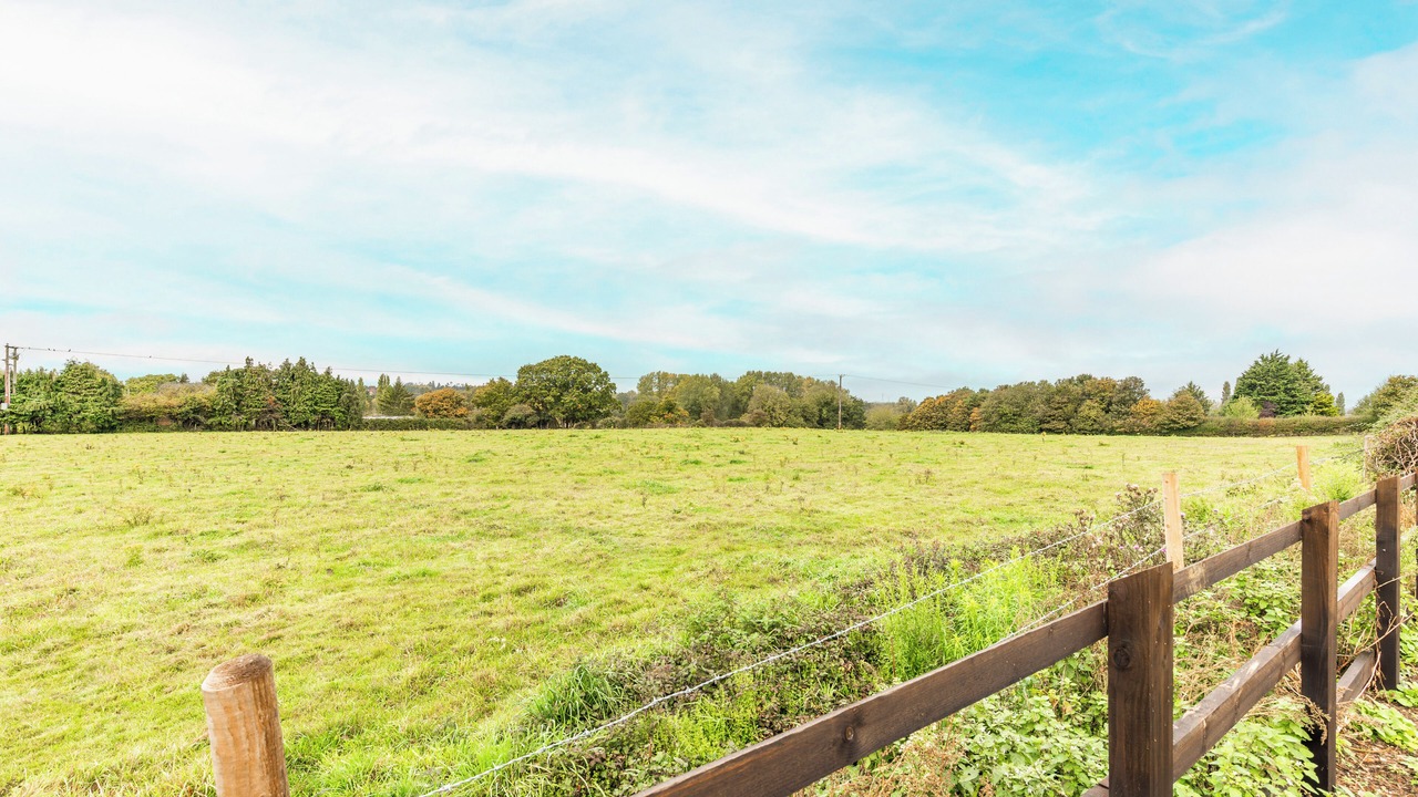 Photo of Others in Norwich