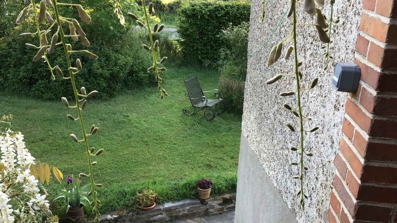 Photo of Outdoor in Betete