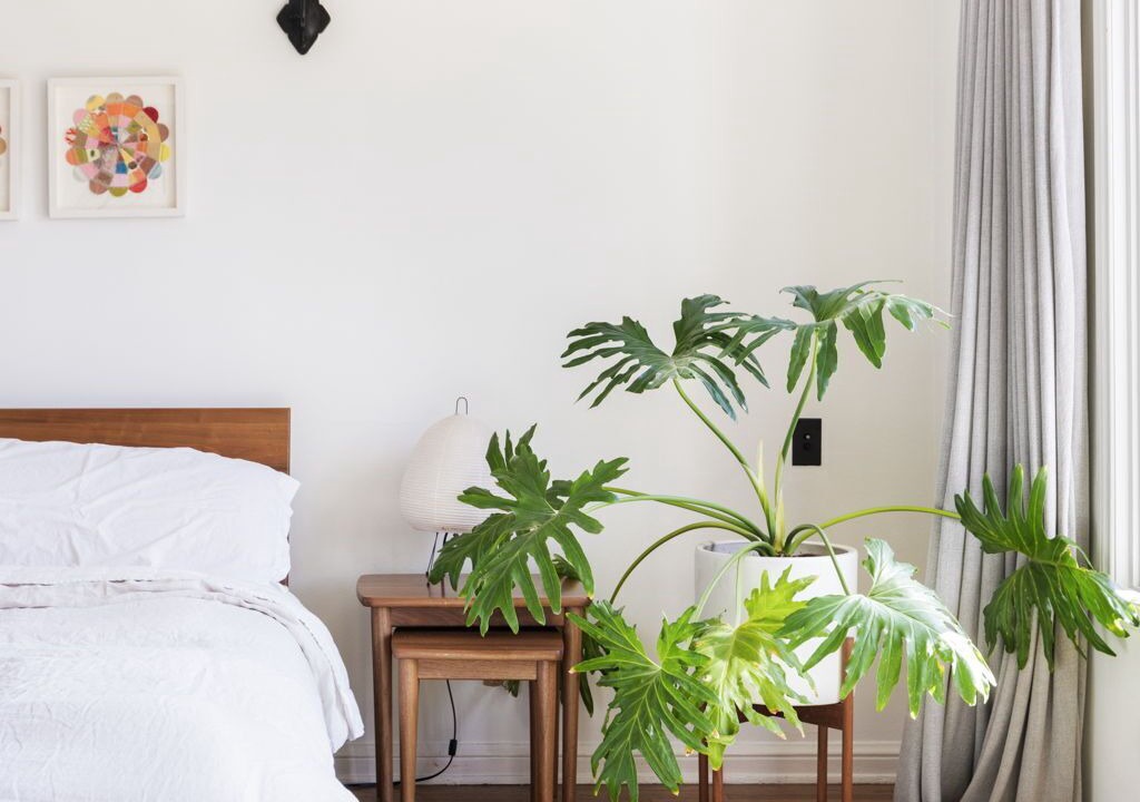 Photo of Bedroom in Los Feliz