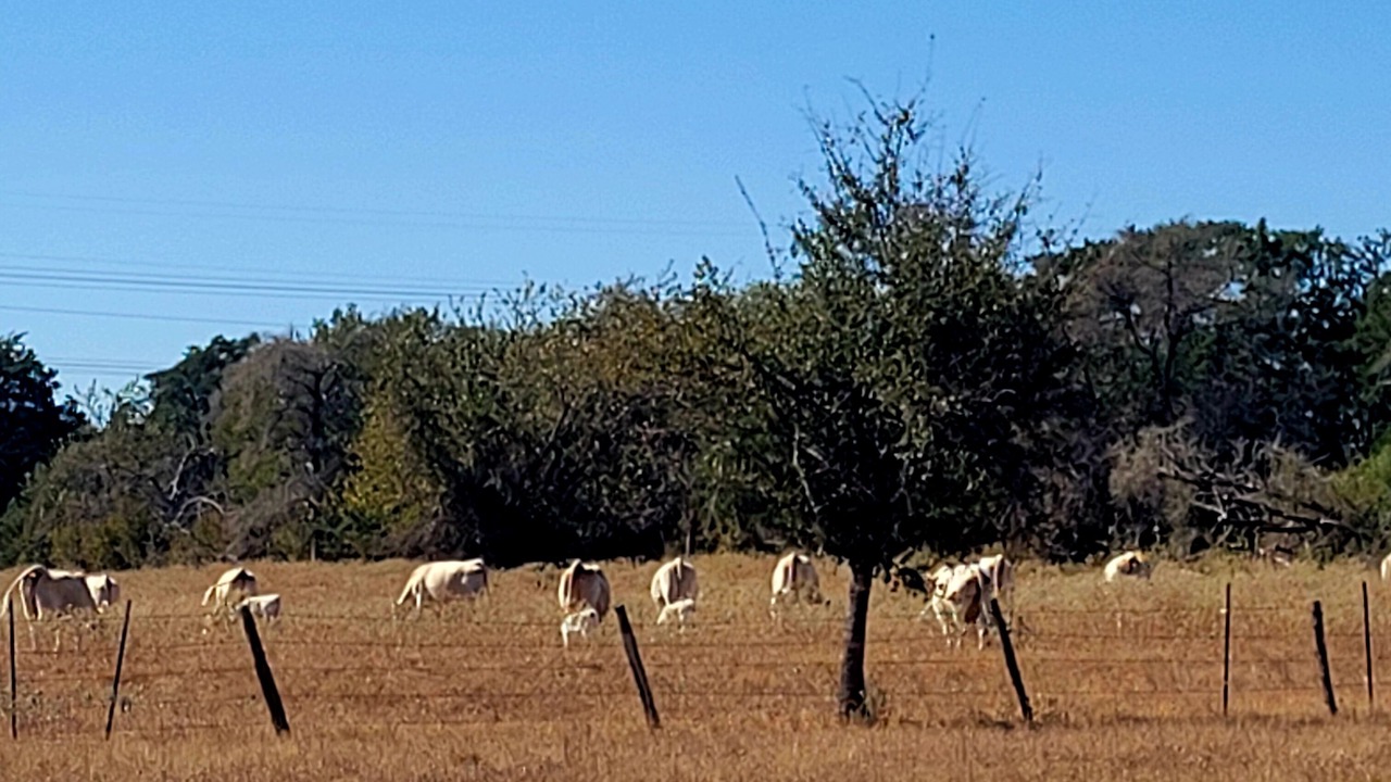 Photo of Others in La Grange