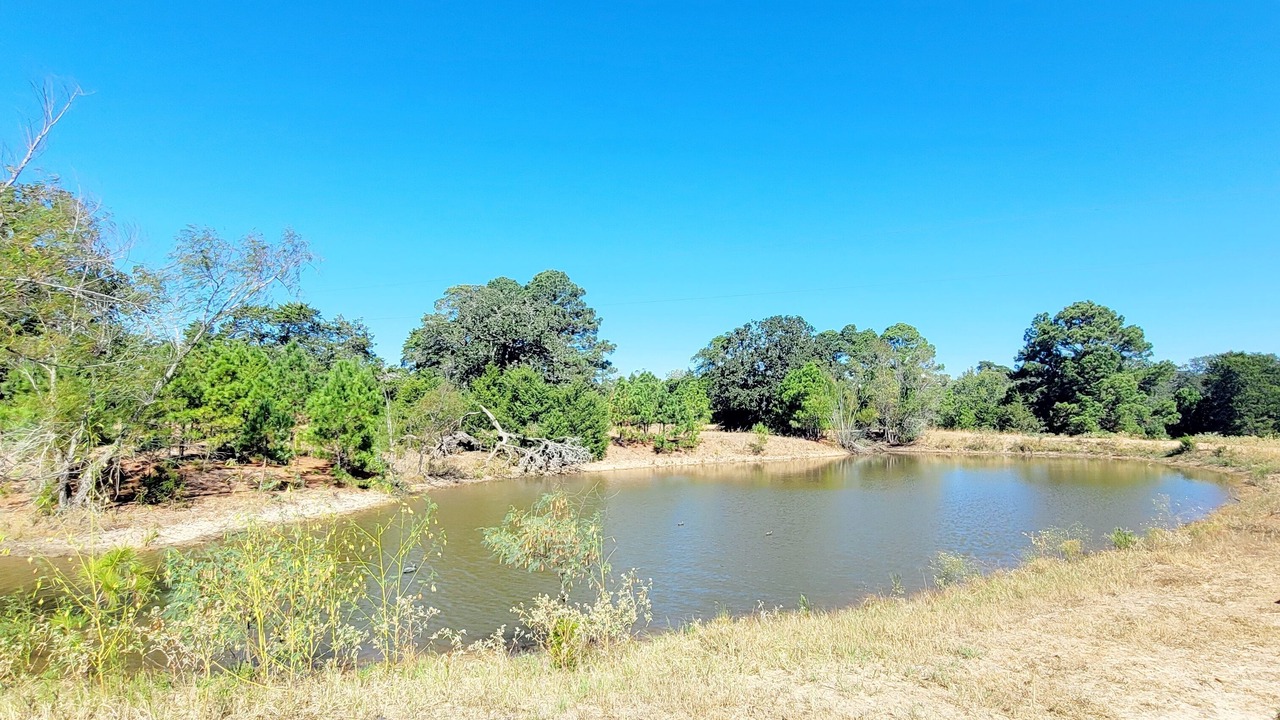 Photo of Others in La Grange