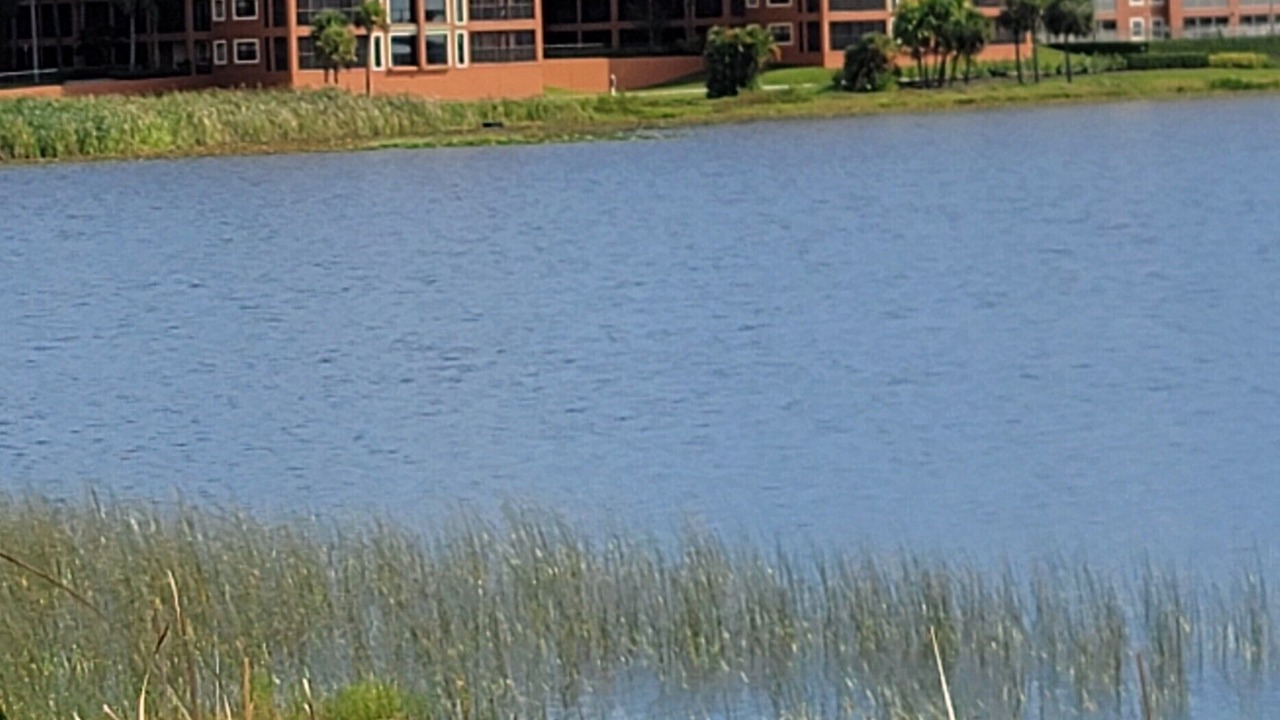 Photo of Others in Florida Central Atlantic Coast