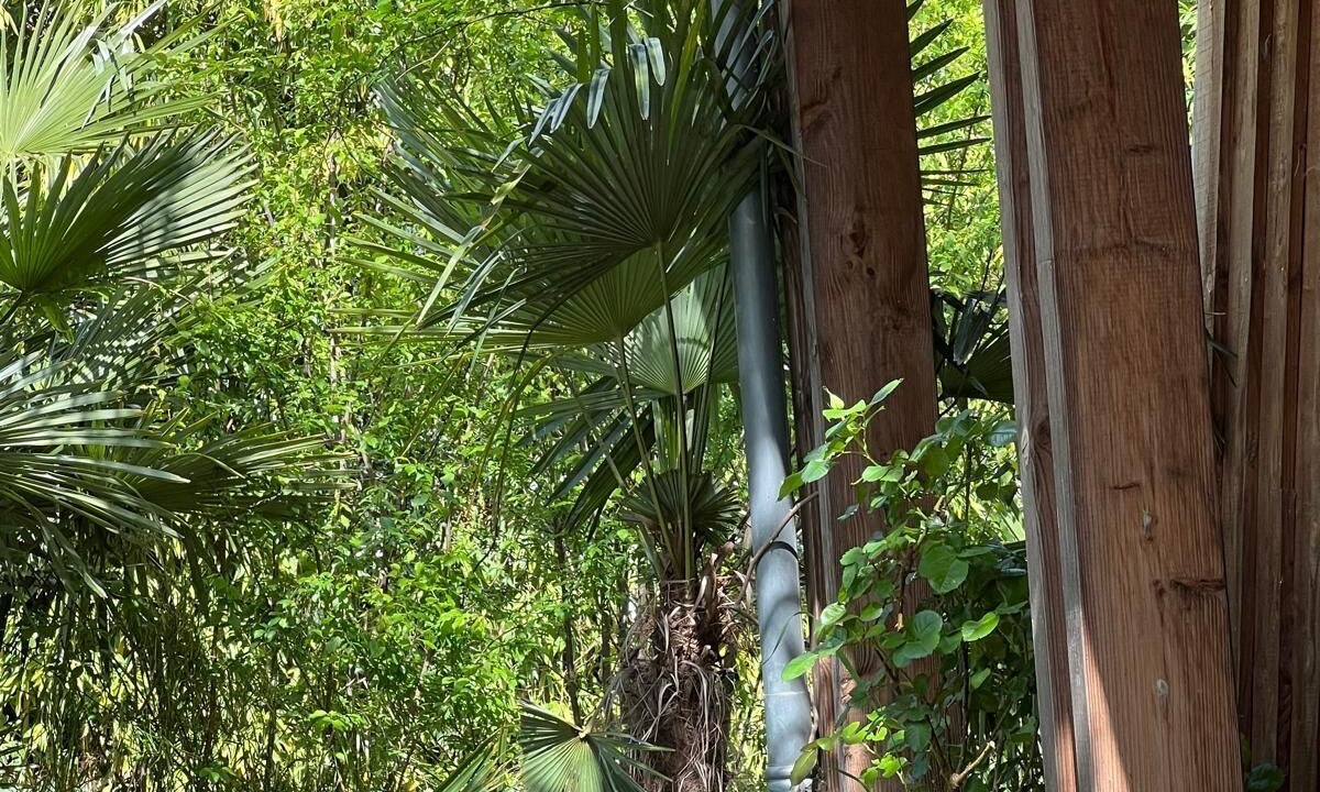 Photo of Outdoor in Cote Pavee