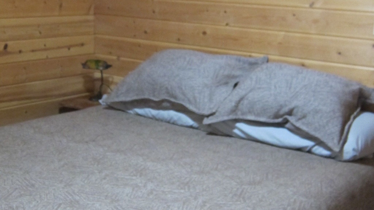 Photo of Bedroom in Steuben