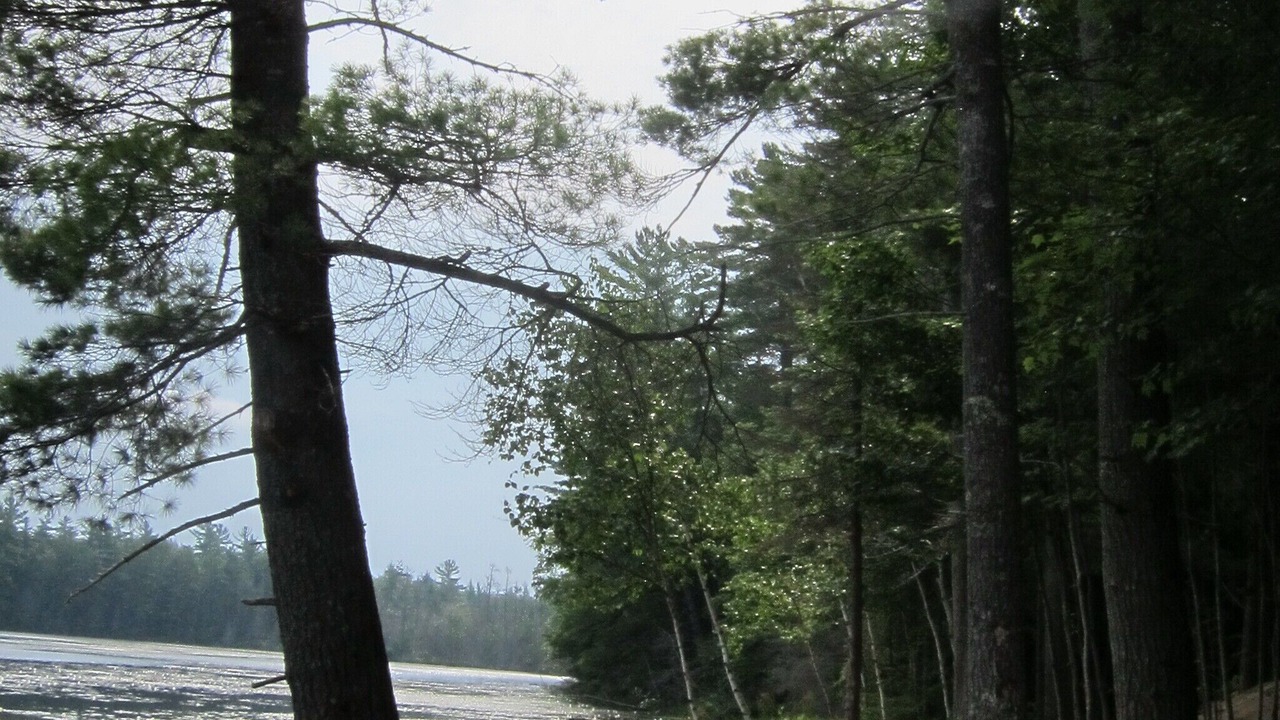 Photo of Others in Steuben