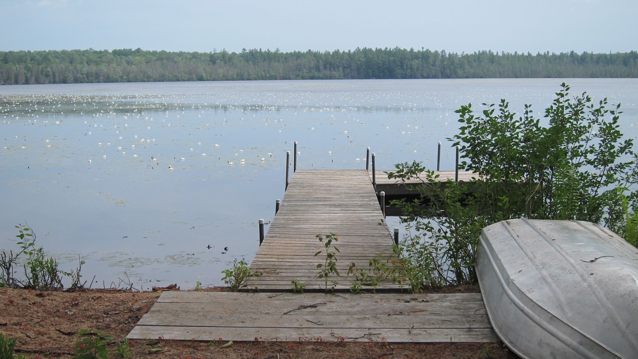 Photo of Others in Steuben