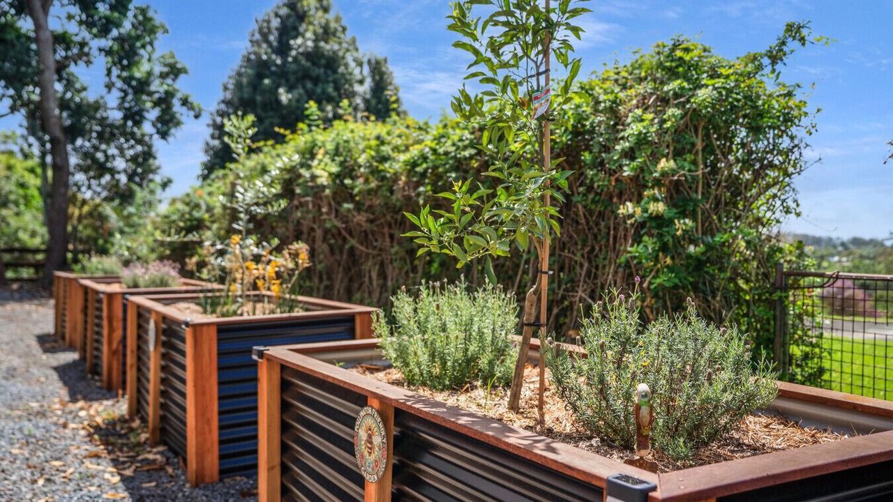 Photo of Others in Maleny