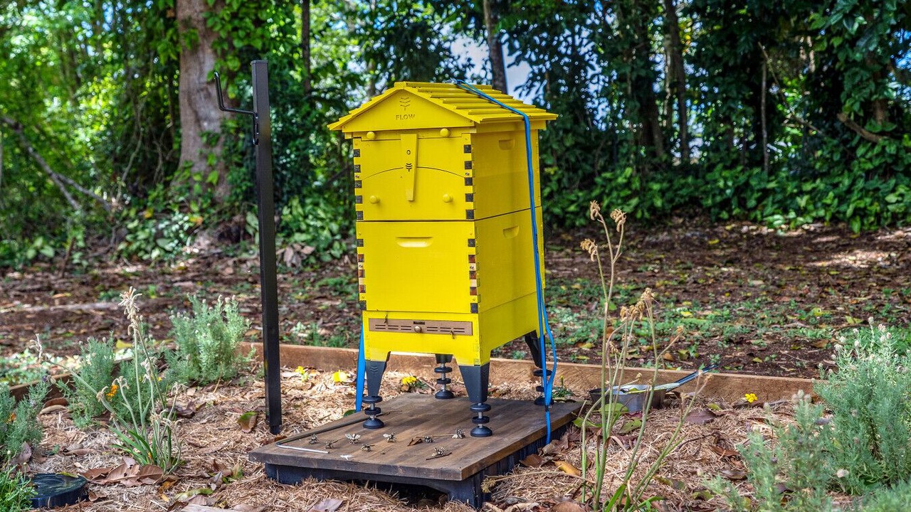 Photo of Others in Maleny