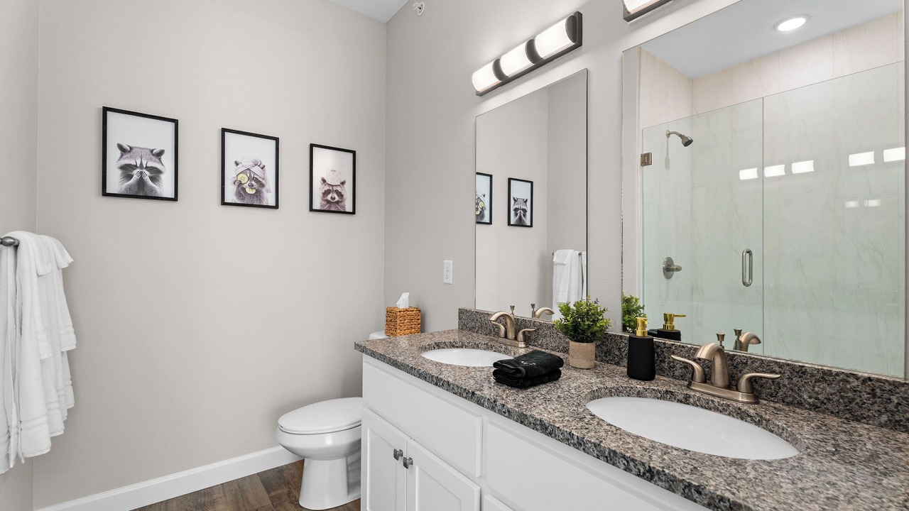 Photo of Bathroom in Branson