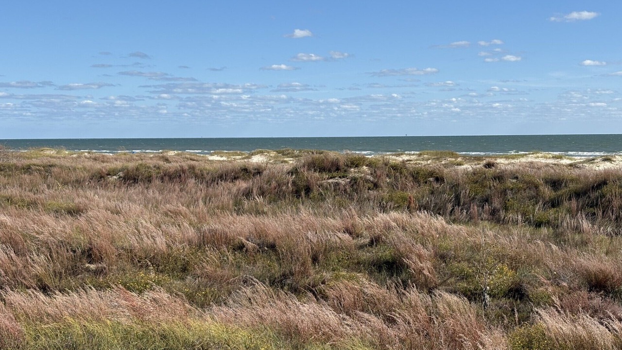 Photo of Others in Matagorda