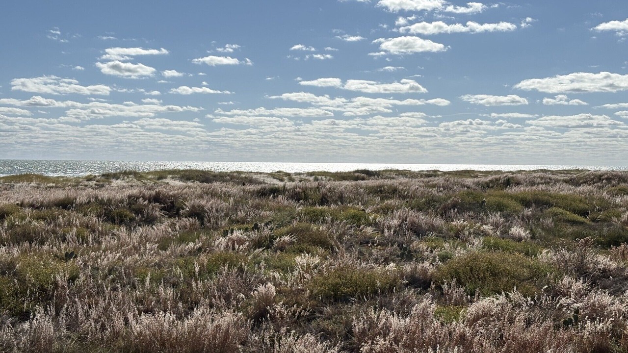 Photo of Others in Matagorda