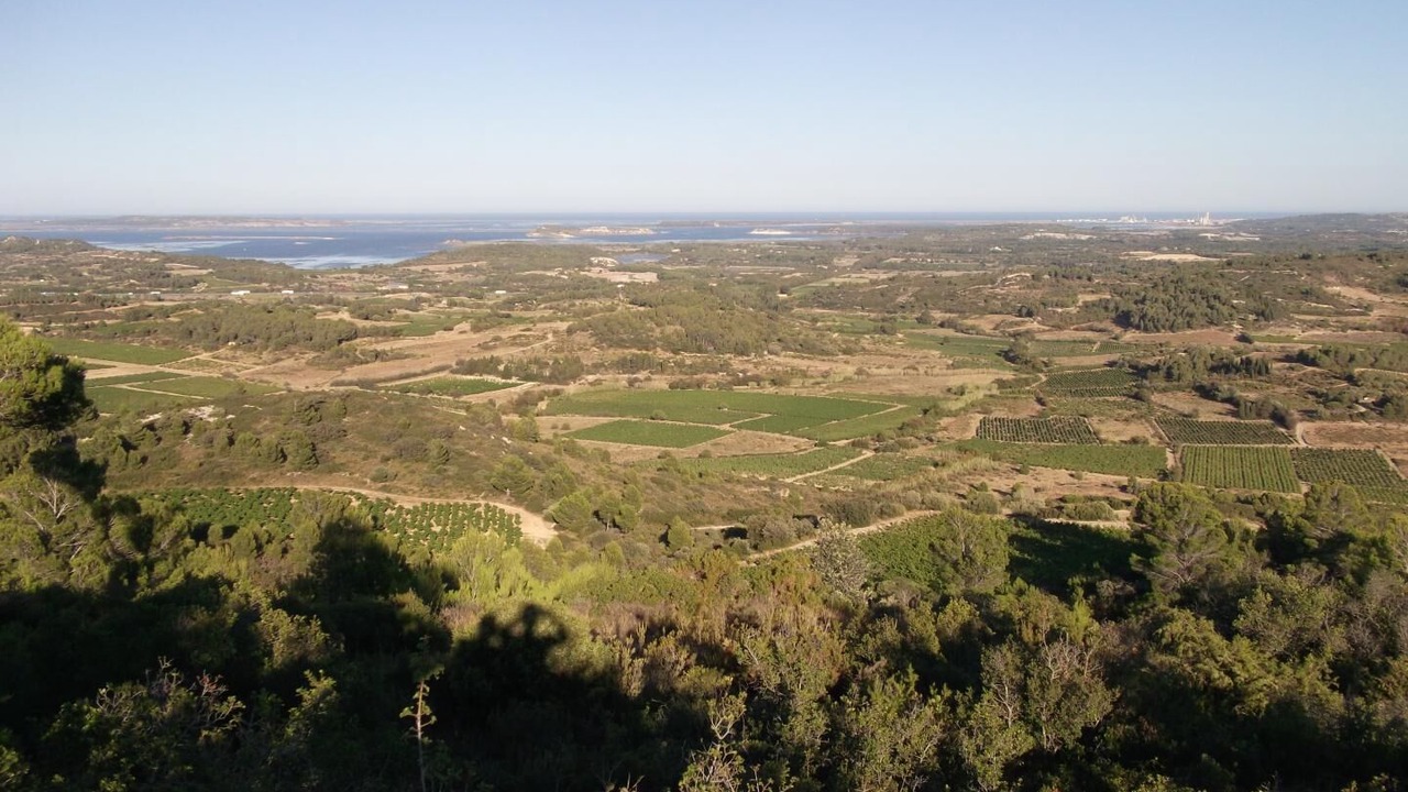 Photo of Others in Portel-des-Corbieres