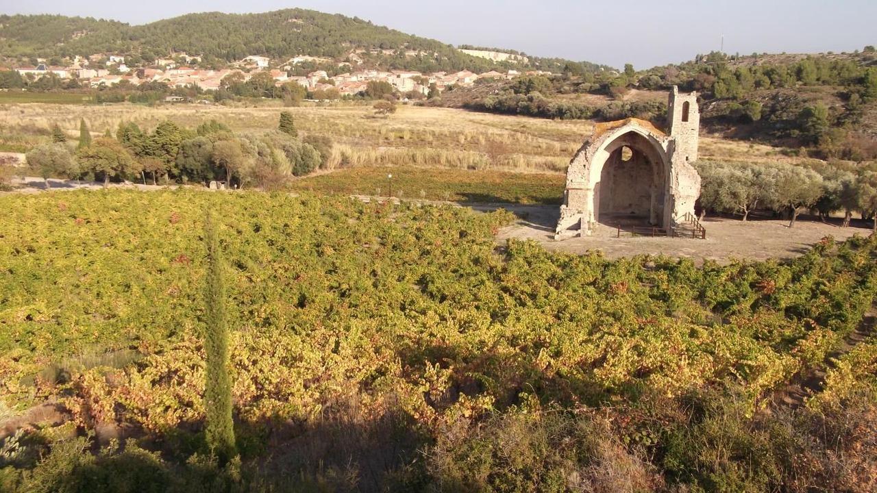 Photo of Others in Portel-des-Corbieres