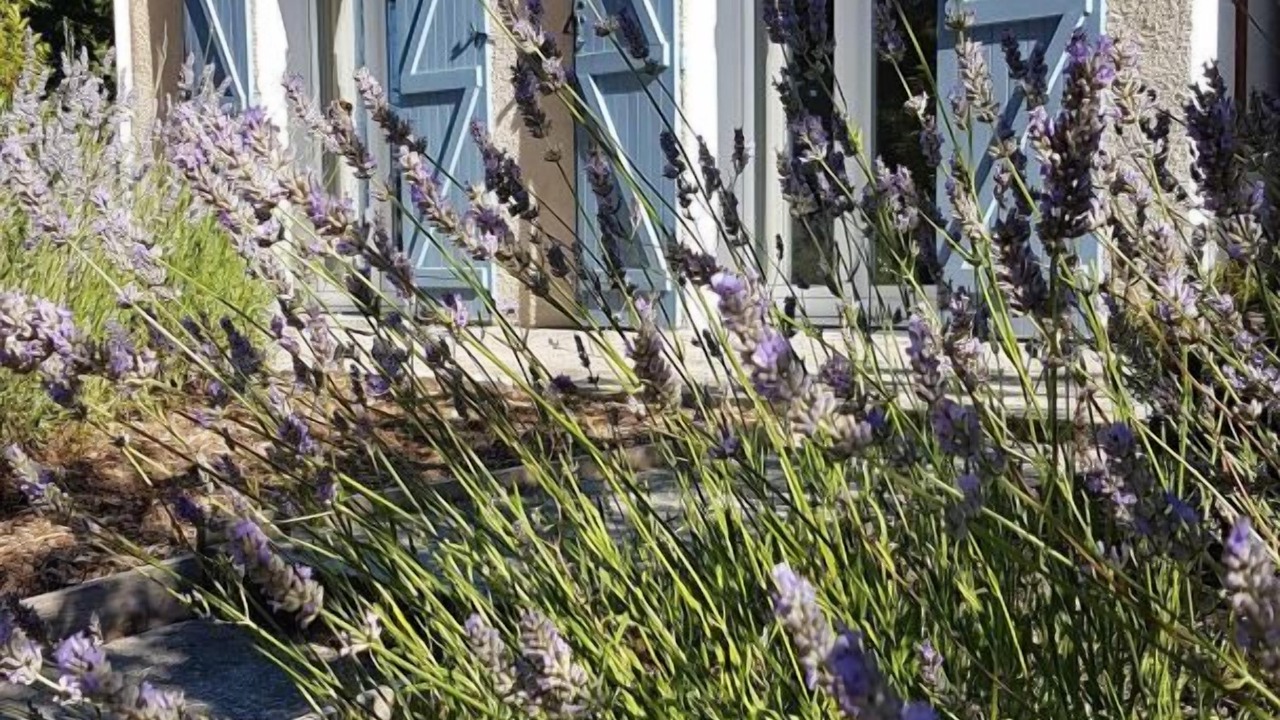 Photo of Outdoor in Cuxac-Cabardes