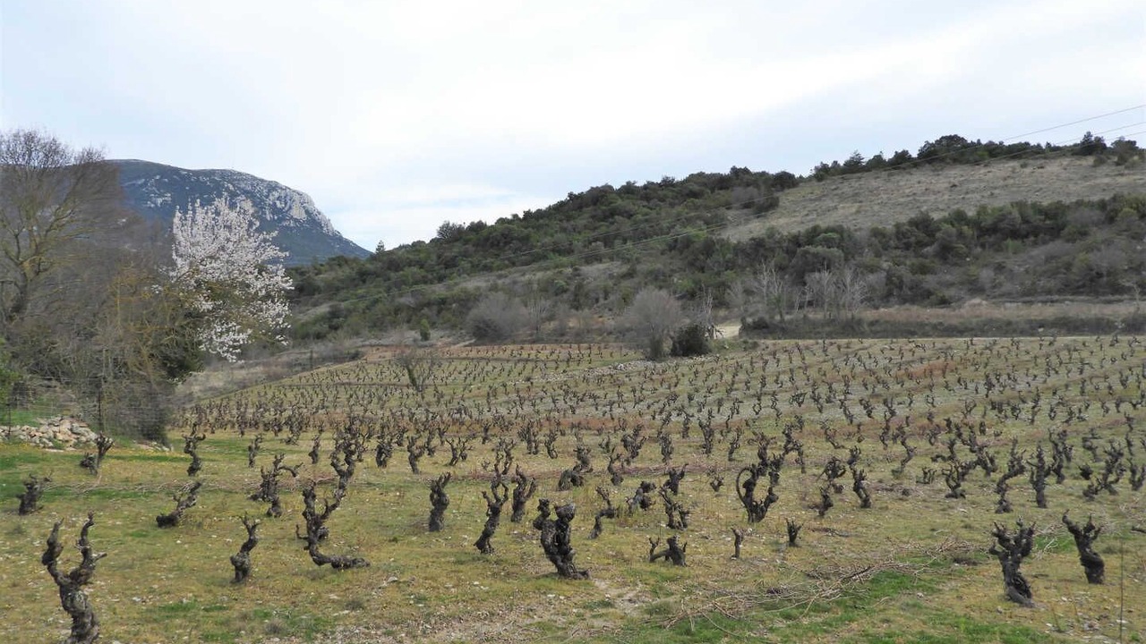 Photo of Others in Montgaillard