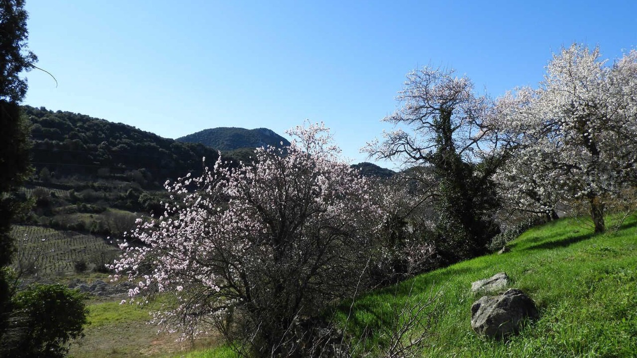 Photo of Others in Montgaillard