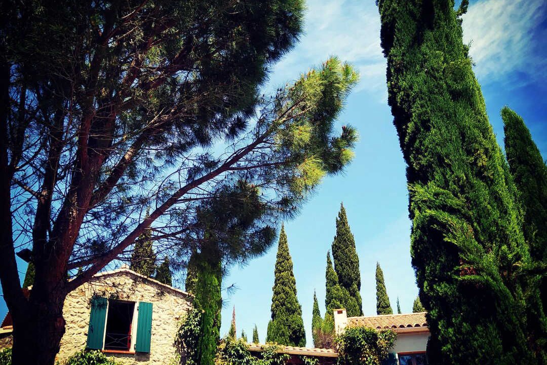 Photo of Outdoor in Tuchan
