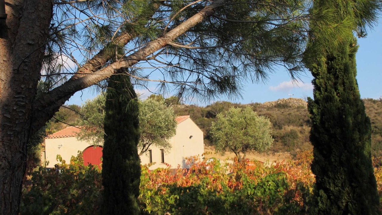 Photo of Outdoor in Tuchan
