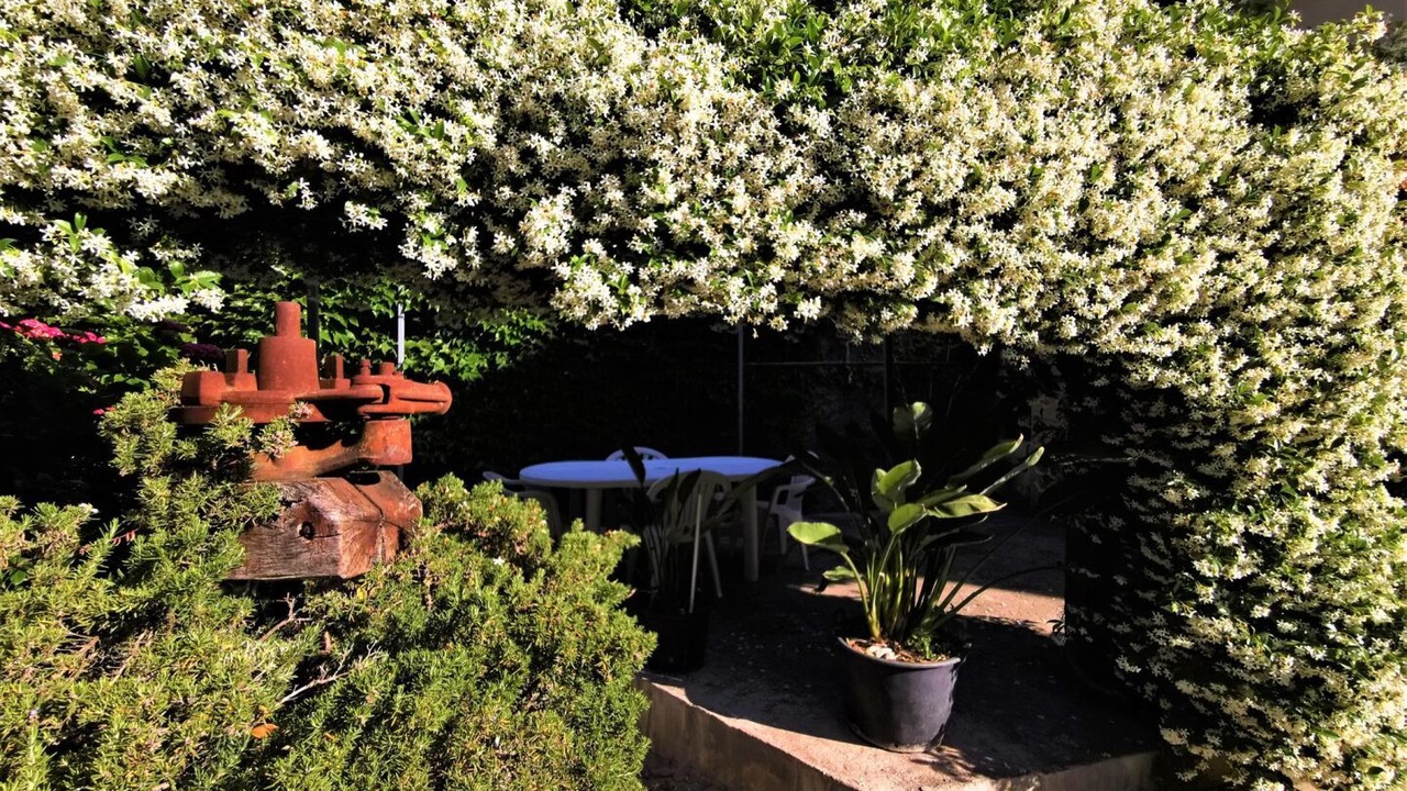 Photo of Outdoor in Montbazin