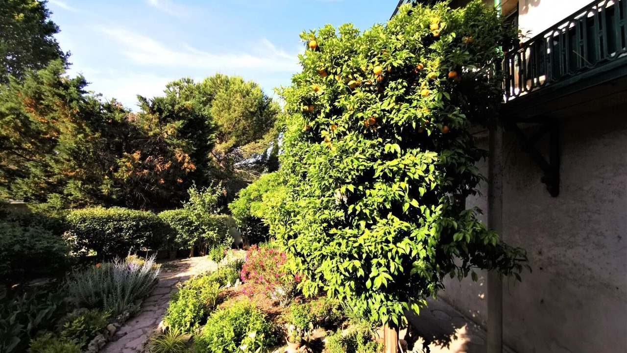 Photo of Outdoor in Montbazin