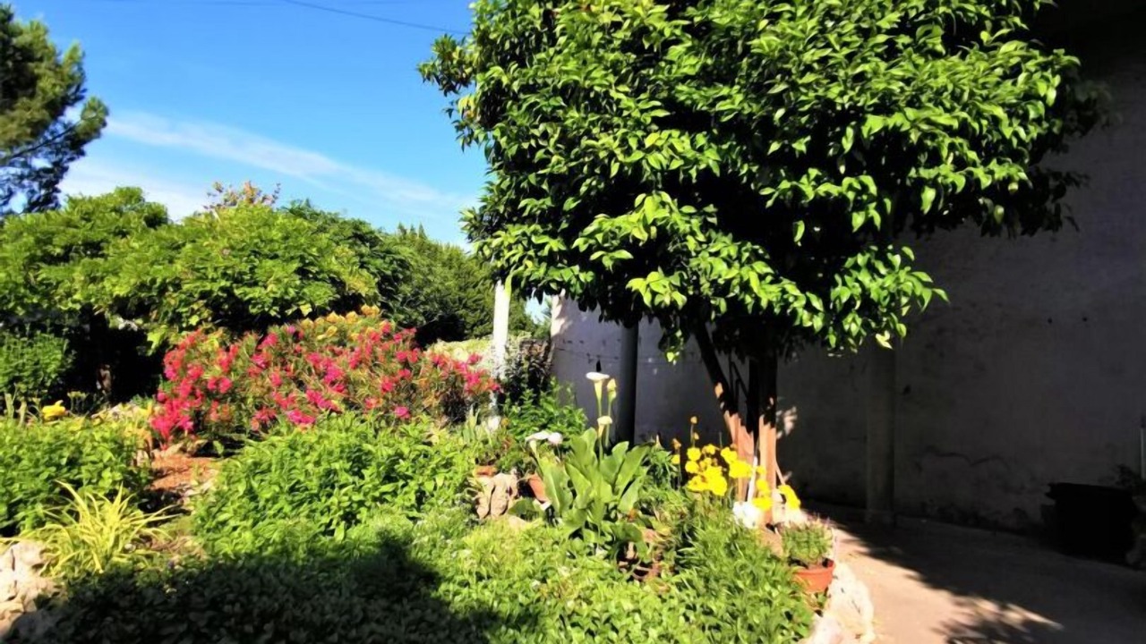 Photo of Outdoor in Montbazin