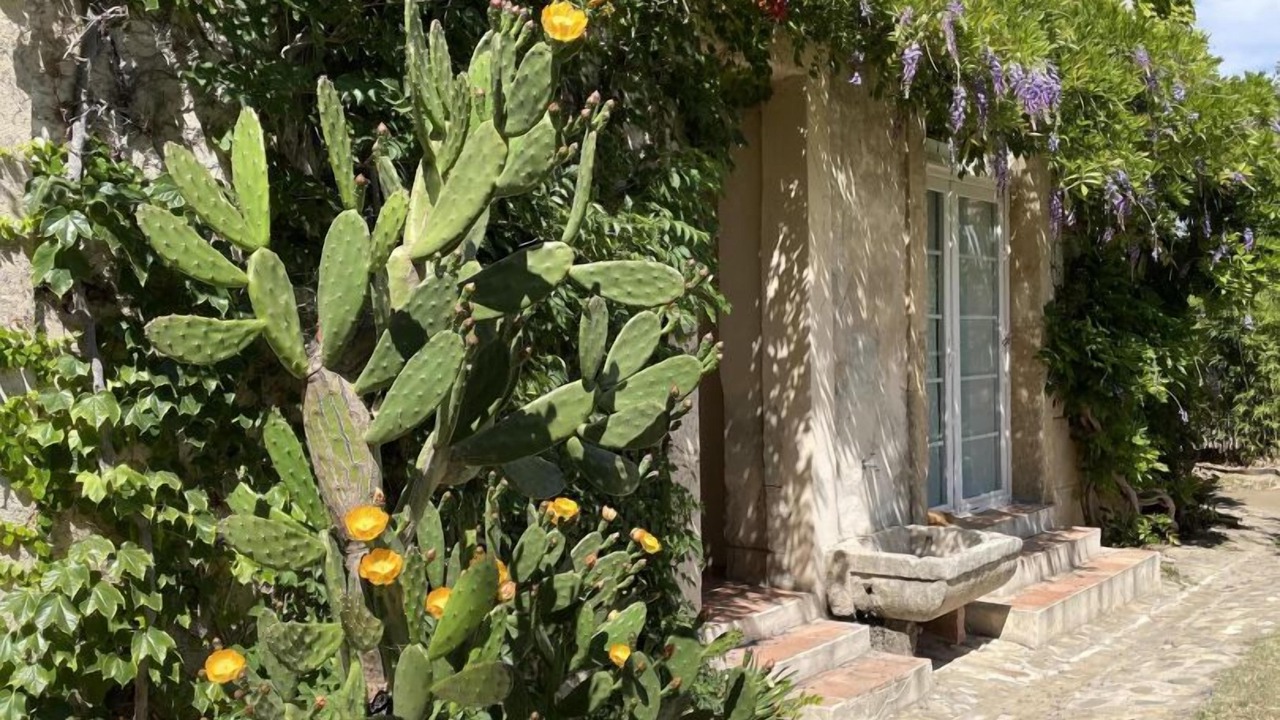 Photo of Outdoor in Maraussan