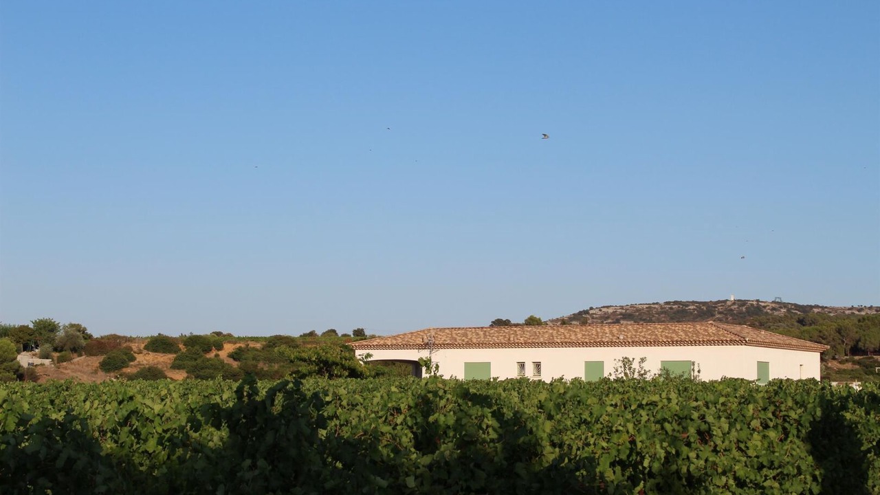 Photo of Others in Gigean