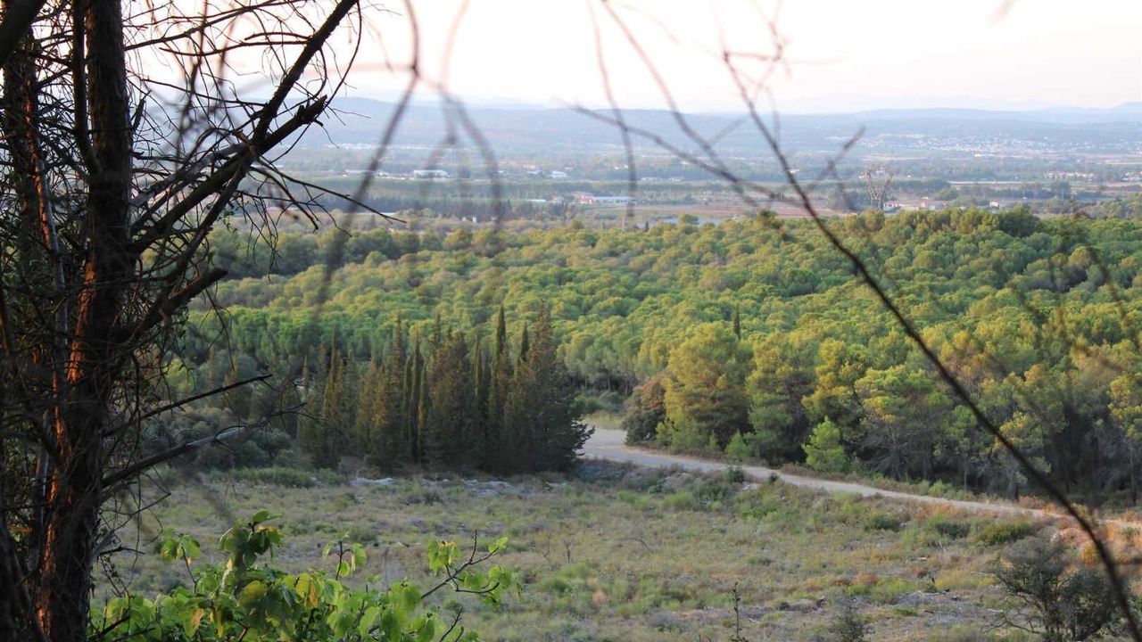 Photo of Others in Gigean