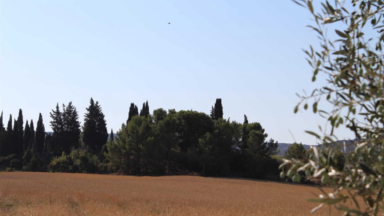 Photo of Others in Gigean