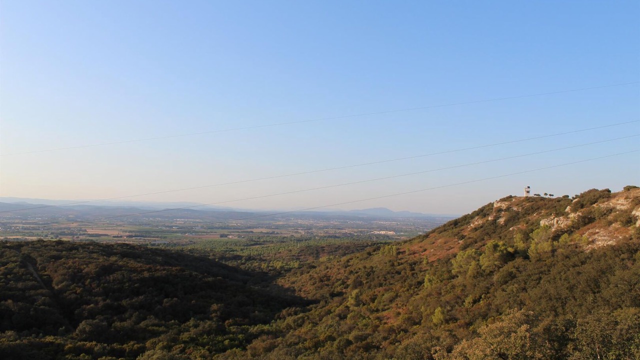 Photo of Others in Gigean