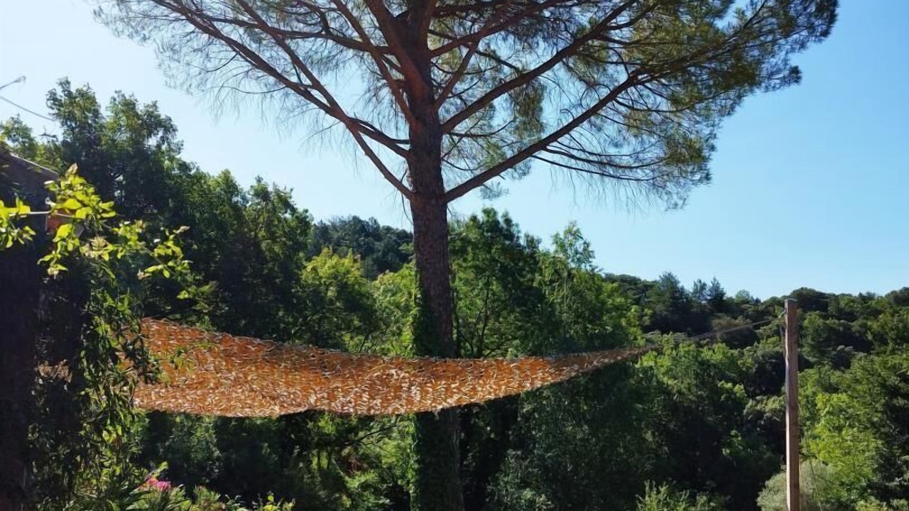 Photo of Outdoor in Soubes