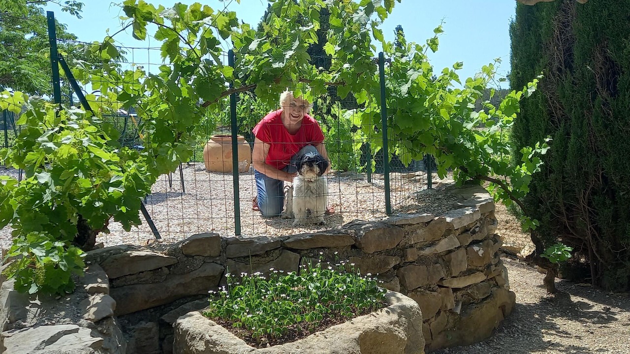 Photo of Outdoor in La Caunette