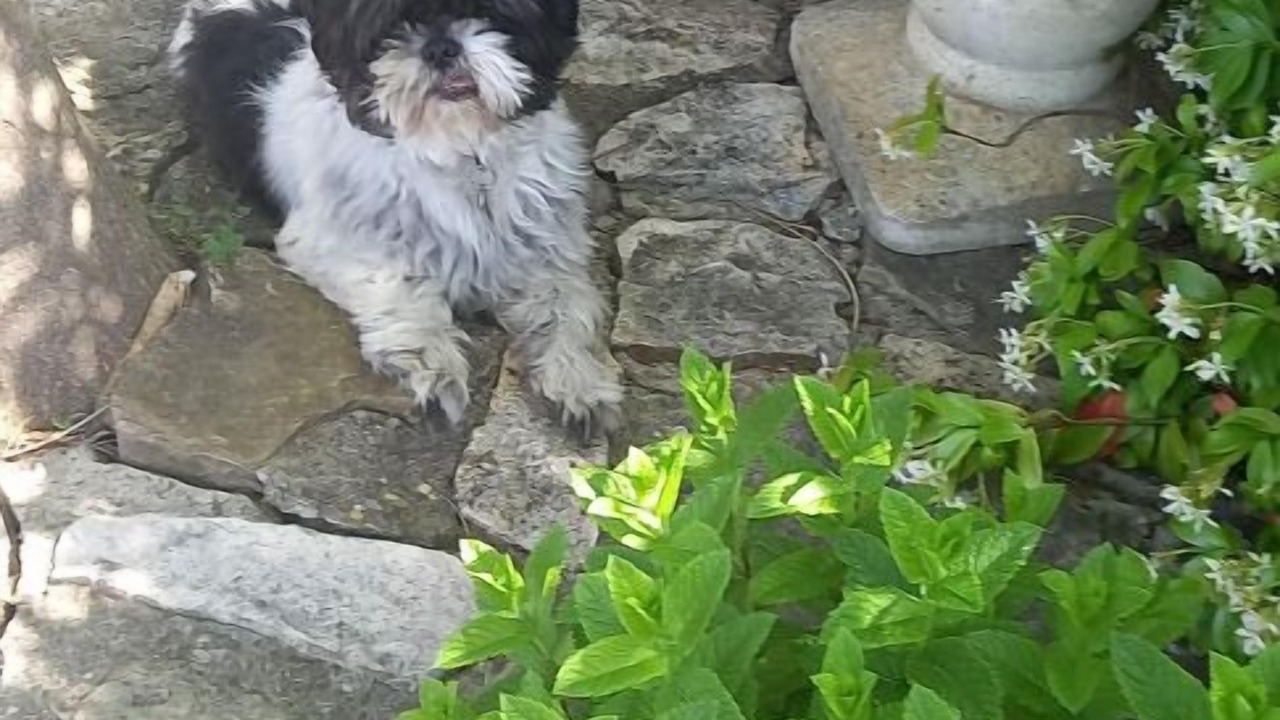 Photo of Outdoor in La Caunette