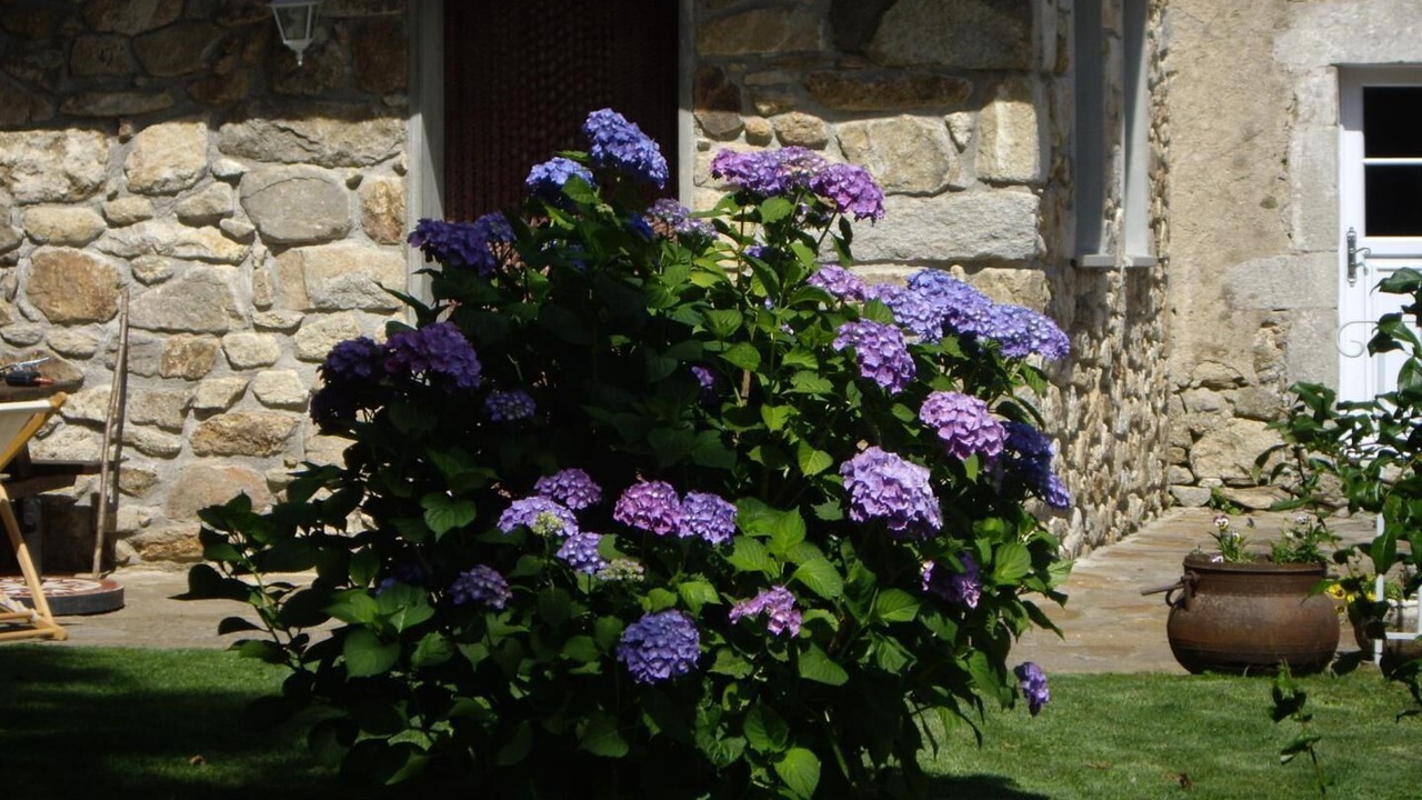 Photo of Outdoor in La Salvetat-sur-Agout