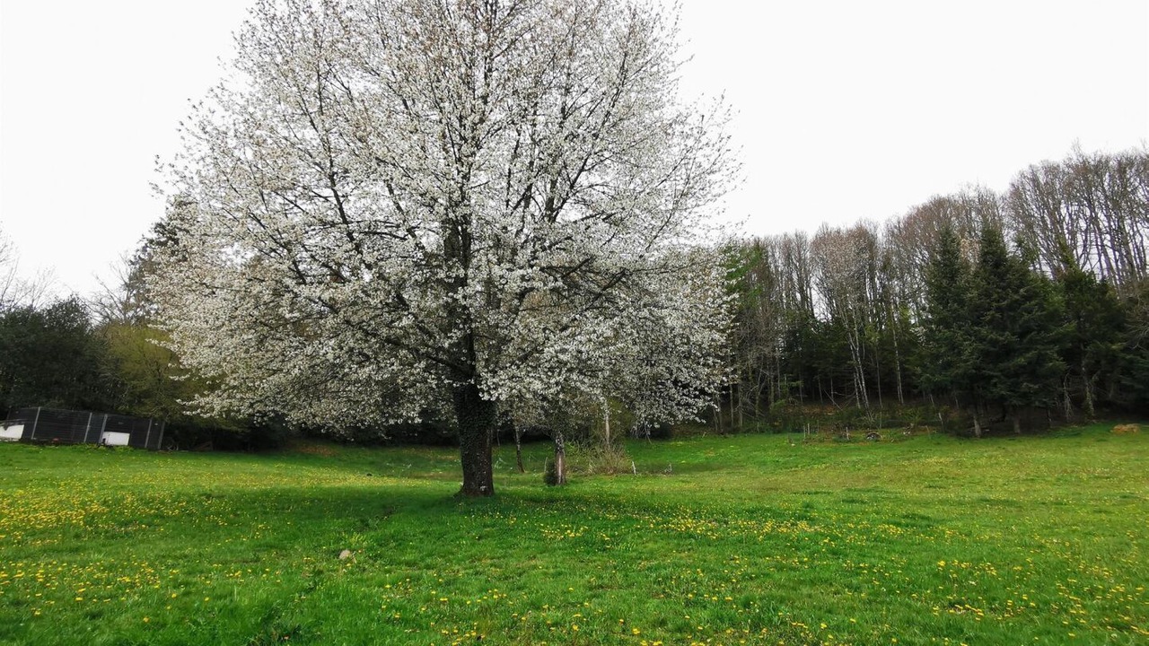 Photo of Others in La Salvetat-sur-Agout