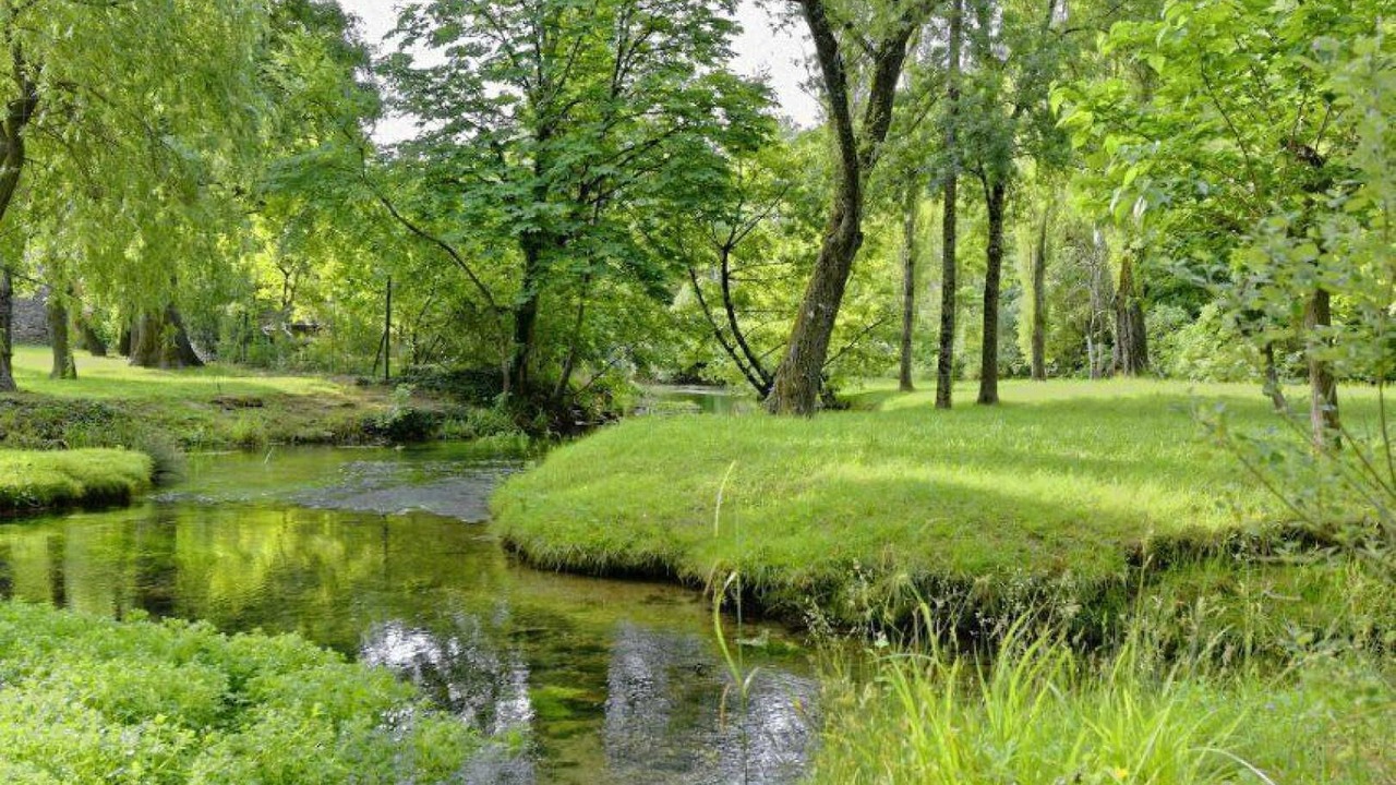 Photo of Others in Brissac