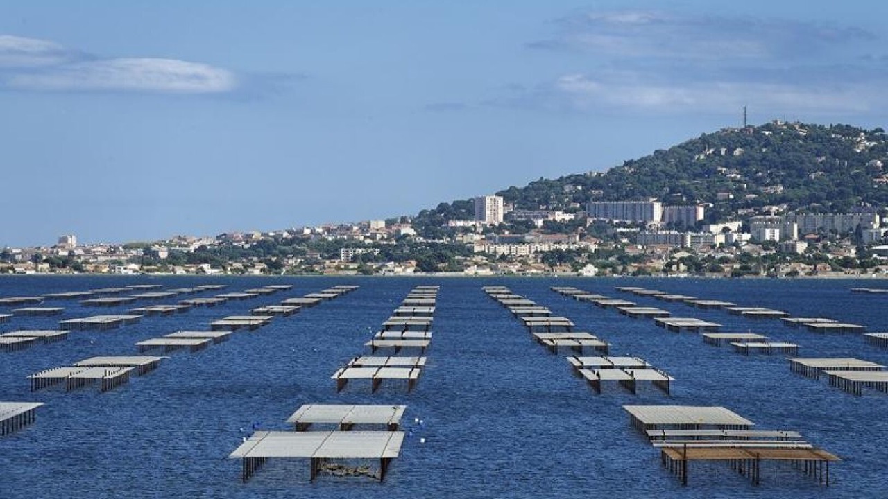 Photo of Others in Pinet