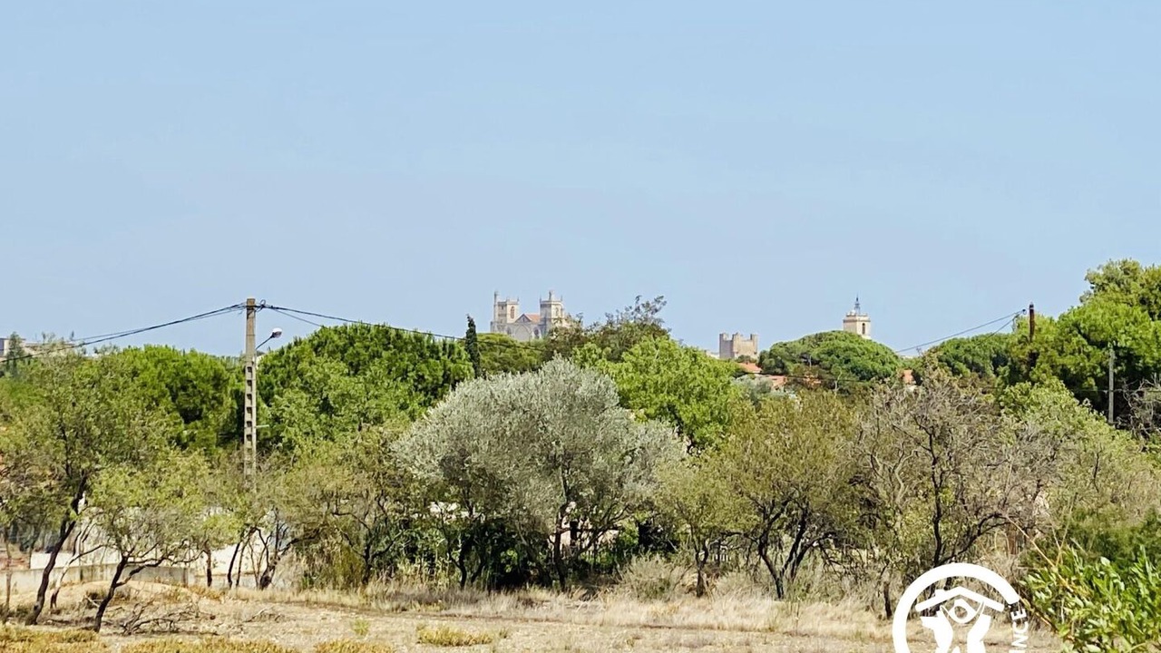 Photo of Others in Narbonne