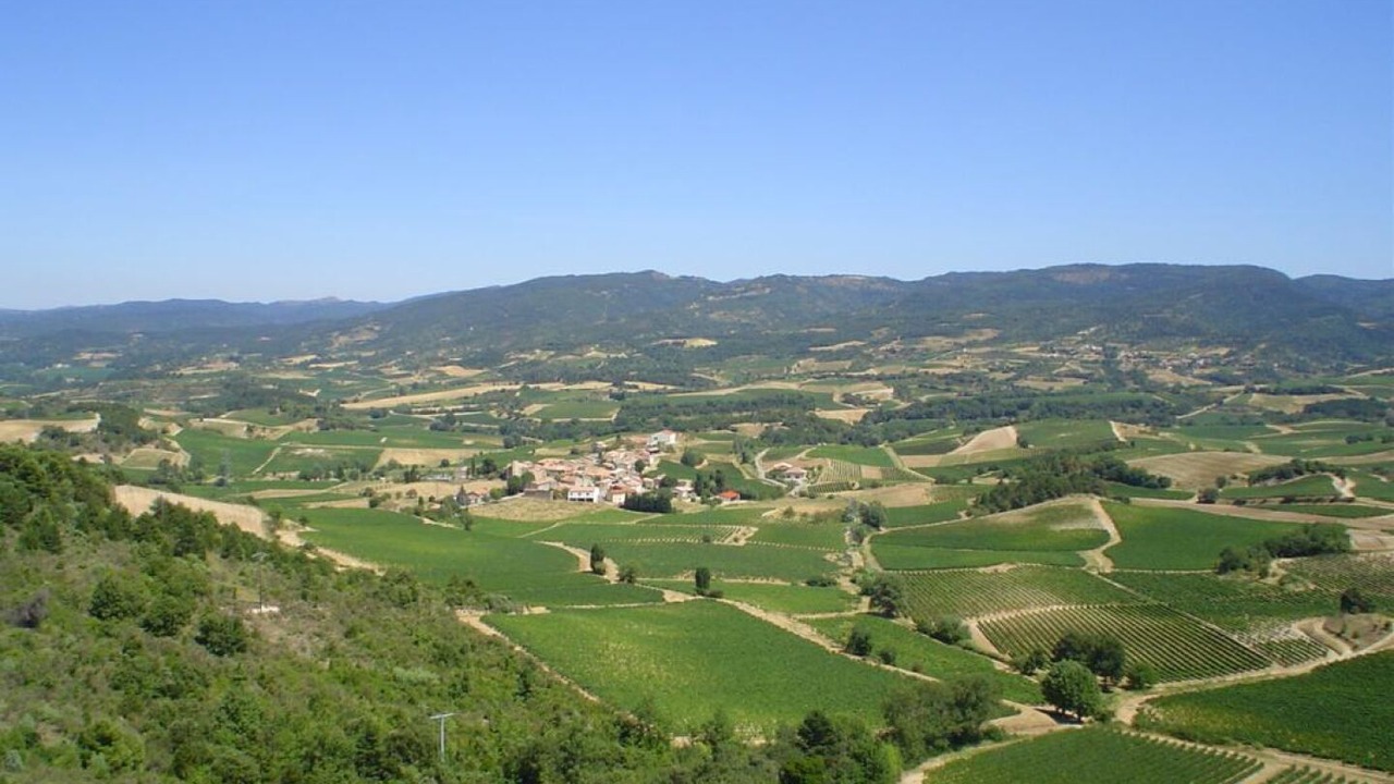 Photo of Others in Gardie