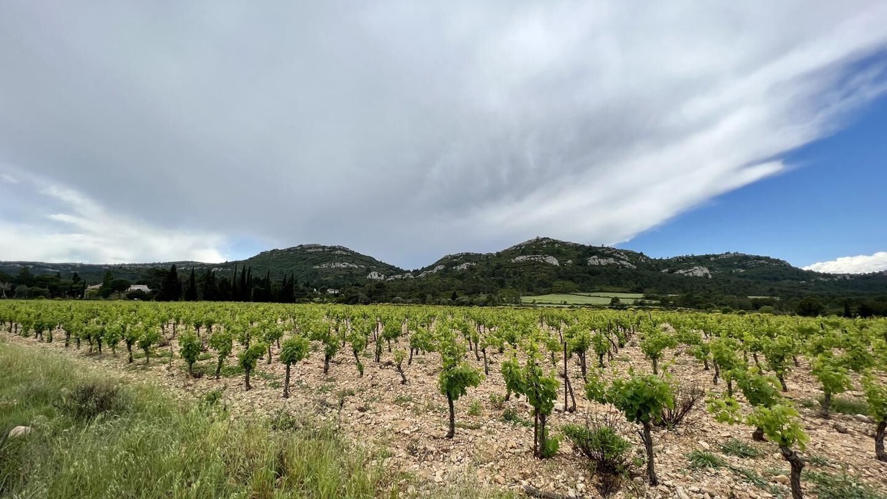 Photo of Others in Thezan-des-Corbieres