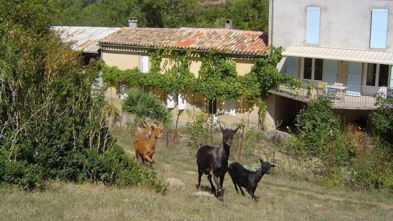 Photo of Outdoor in Saint-Hilaire