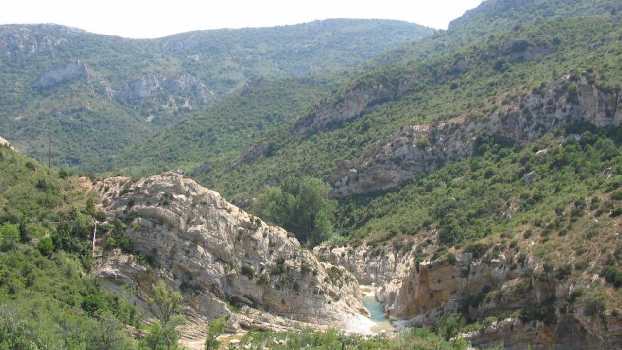 Photo of Others in Duilhac-sous-Peyrepertuse