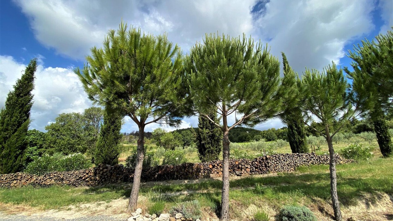 Photo of Others in Argeliers